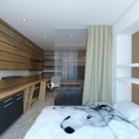 proiectarea unui apartament cu o cameră de 45 mp fotografie