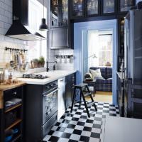 כלוב שחור ולבן על רצפת המטבח