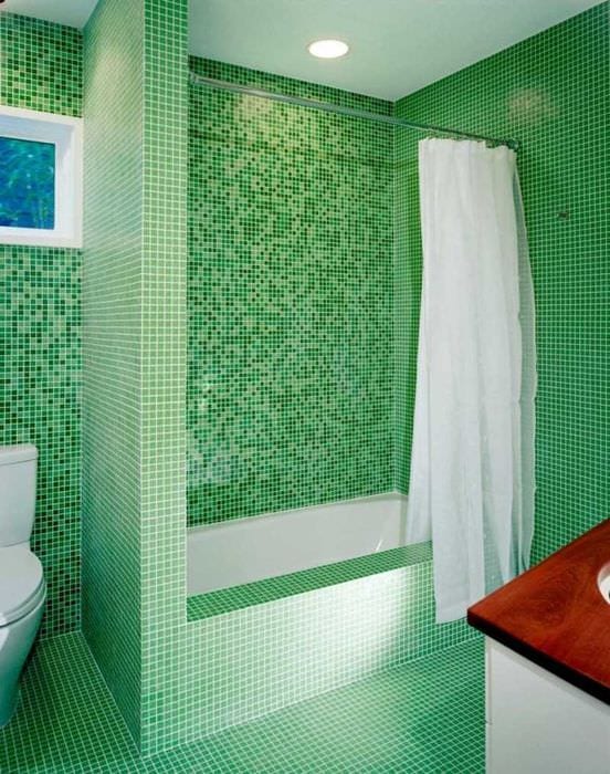 הרעיון של טיח דקורטיבי מקורי בפנים חדר האמבטיה