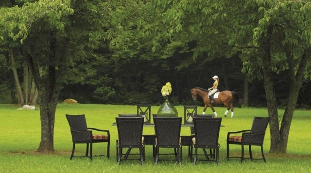møbler udendørs hest rolig frisk luft
