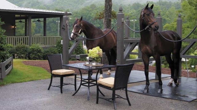 udendørs design ideer enkel hest hus møblering
