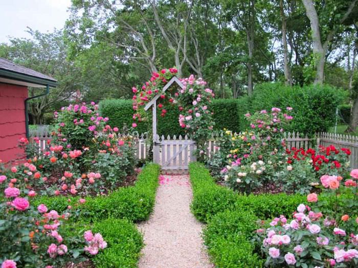 ένα παράδειγμα ενός όμορφου σχεδιασμού μπροστινού κήπου σε μια ιδιωτική αυλή