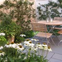 Beispiel für eine schöne Vorgartendekoration in einem privaten Innenhof Foto