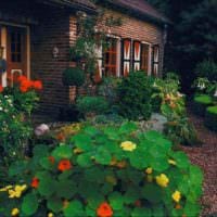 μια παραλλαγή μιας ασυνήθιστης διακόσμησης μπροστινού κήπου σε μια ιδιωτική αυλή