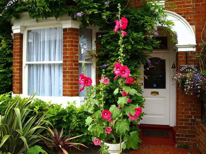 Option für eine schöne Vorgartendekoration in einem privaten Innenhof