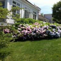 επιλογή φωτεινής μπροστινής διακόσμησης κήπου σε εικόνα ιδιωτικής αυλής