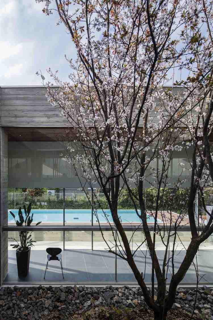 Panoramavindue til den indre have -minimalistisk-kirsebær-træ-pool-beton-fladt taghus