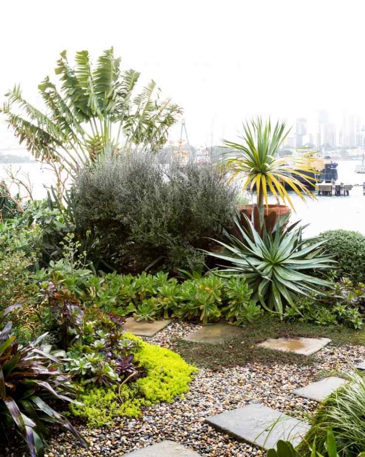 Planter til grusbedet-Middelhavet-agave-bunddække-busk-sedum-yucca-palme