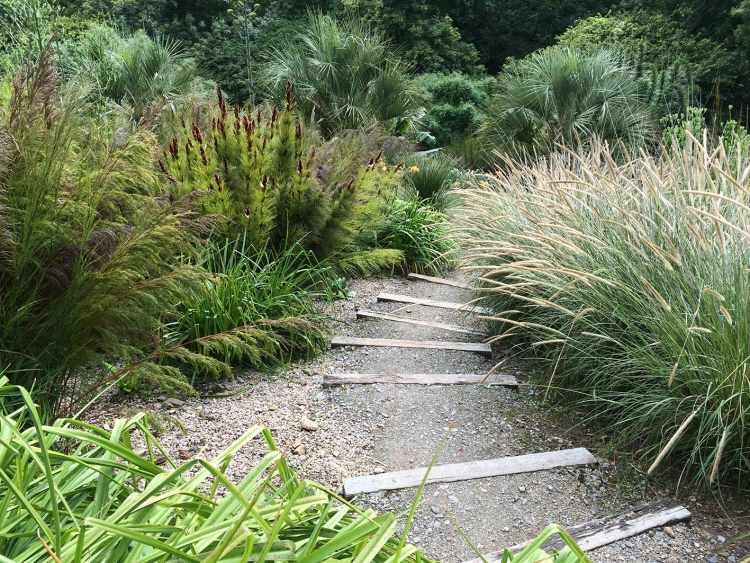 planter-grus-lampe-renere-græs-have-sti-pampas-dværgpalmer