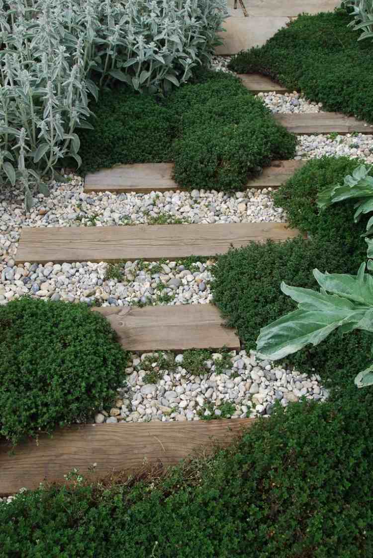 planter-grus-senge-bunddække-filt-hornwort-træ-have-sti