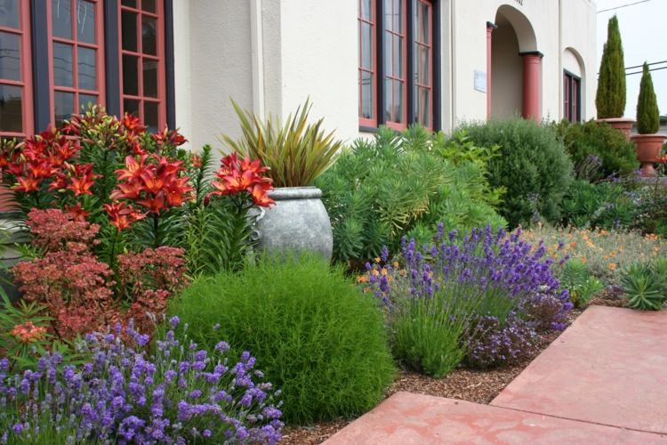 pleje planter graeser blomster sunde havebeskyttelsestip