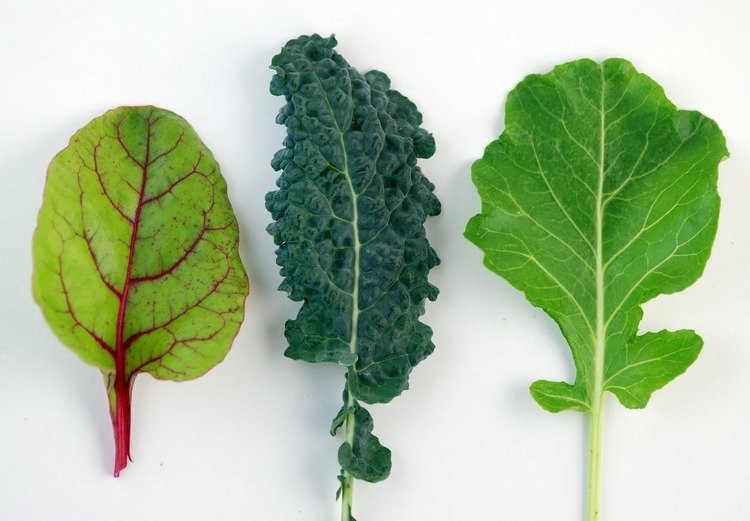 Vær opmærksom på lavoxalatbladede grøntsager
