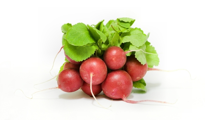 sund kost radiser vitaminer salater havepleje