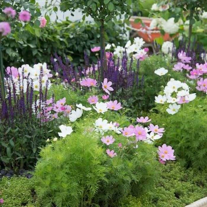 mulighed for at bruge smukke planter i landskabsdesignet af et sommerhus