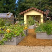 κήπος με κρεβάτια ιδέες εξοχικό σπίτι φωτογραφία