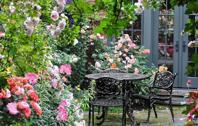 Roser til halvskygge stauder og klatreplanter rundt på terrassen