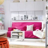 възможността за използване на розово в ярка дизайнерска снимка на апартамент