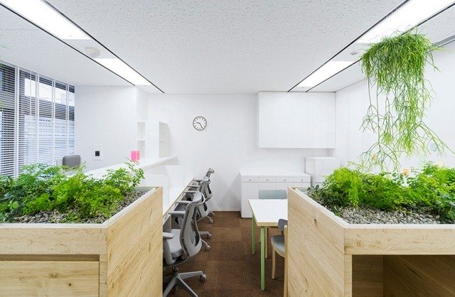 klinik i osaka-koshida naoya-matsumoto indretningskontor redesign af interiøret