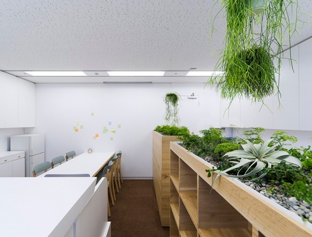 medicinsk klinik indretning med plante-træ boliger opbevaring-møde bord-træ