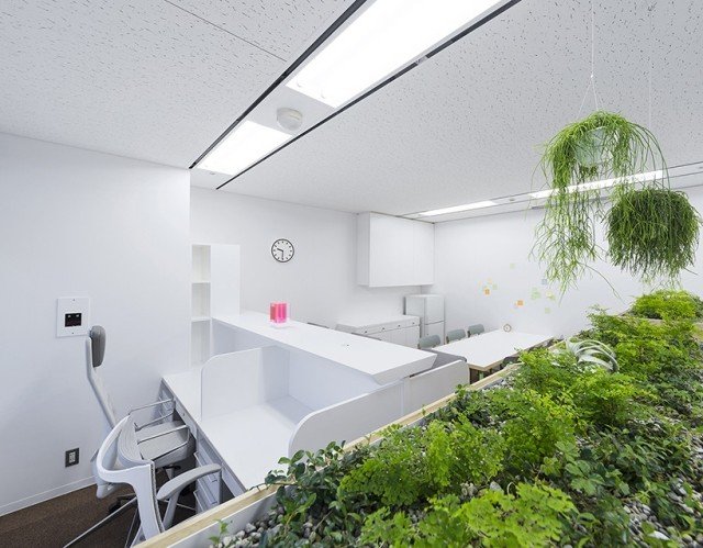 medicin klinik interiør redesign indendørs planter