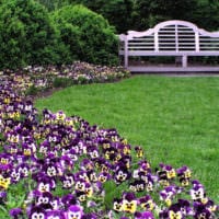 Gartengrundstück 4 Feinheiten von Landschaftsgestaltungsideen weben