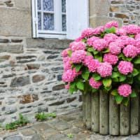 Gartengrundstück 4 sind Feinheiten von Landschaftsgestaltungsideen Foto