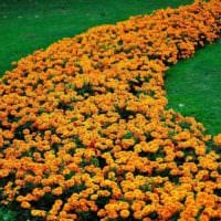 Gartengrundstück 4 sind Feinheiten der Landschaftsgestaltung Fotoideen
