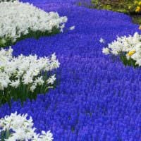 Gartengrundstück 4 sind Feinheiten der Landschaftsgestaltungsoptionen Dekor