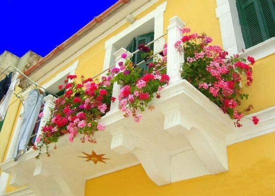 ideer altanplanter på terrassen gul facade