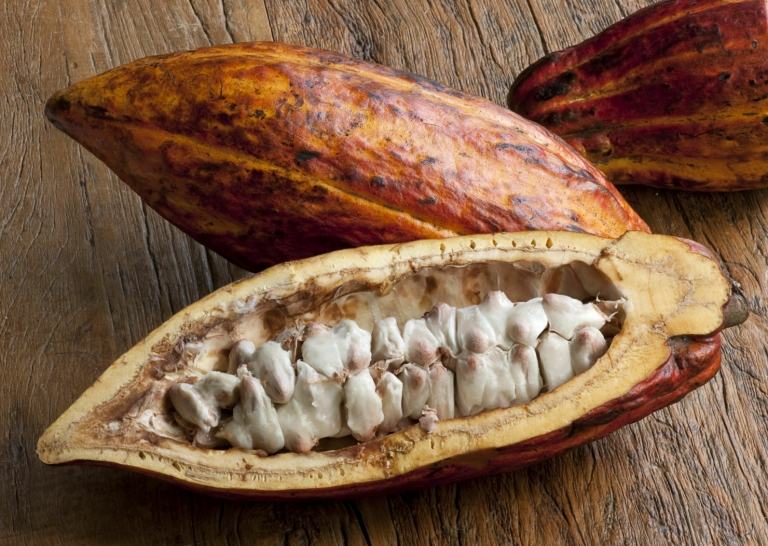 Sort sæbe kakaobønner sund palmeolie ansigtsmaske hudpleje