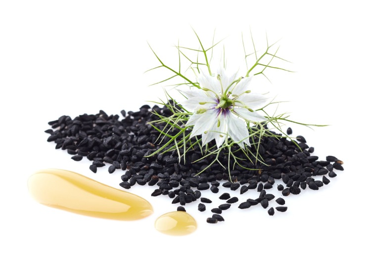 Blomstrende plante nigella sative black cumin oil effekt af pressede frø