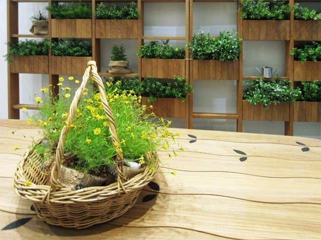 Planter Privacy Screen Sukkulenter Deesawat