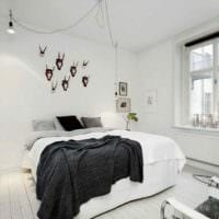 ideea unui apartament în stil luminos într-o imagine în stil scandinav