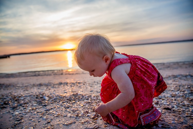 Småbørn, der samler skaller på sommerferien på stranden