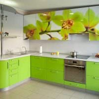 η ιδέα της χρήσης πράσινου σε μια ασυνήθιστη φωτογραφία διακόσμησης δωματίου
