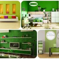 η ιδέα της εφαρμογής πράσινου χρώματος σε ένα φωτεινό εσωτερικό μιας αίθουσας φωτογραφιών