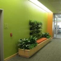 ένα παράδειγμα χρήσης του πράσινου σε μια όμορφη εικόνα σχεδιασμού δωματίου
