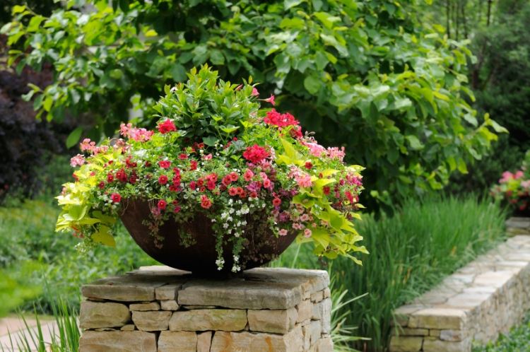 Sommerblomster i haven planter-metal-sæsonbestemt