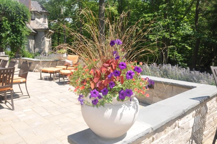 Sommerblomster-have-middelhavs-terrasse-plantepotte