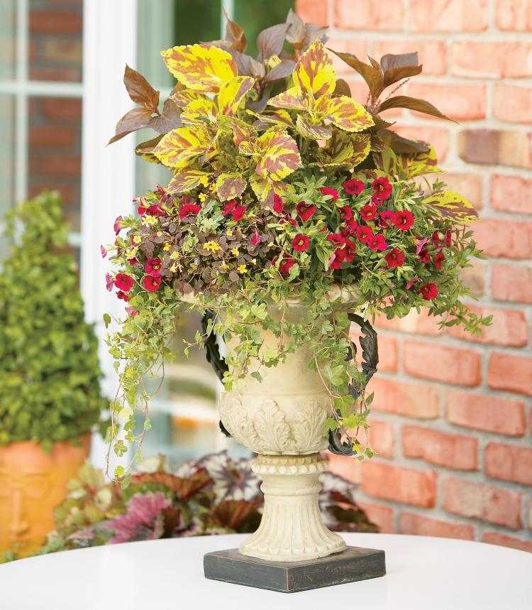 Sommer blomsterhave plante pot magiske klokker ideer