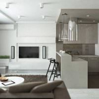Gråvit inredning i kök-vardagsrummet i stil med minimalism