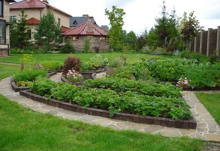 ένα παράδειγμα ασυνήθιστης διακόσμησης κήπου σε μια ιδιωτική αυλή