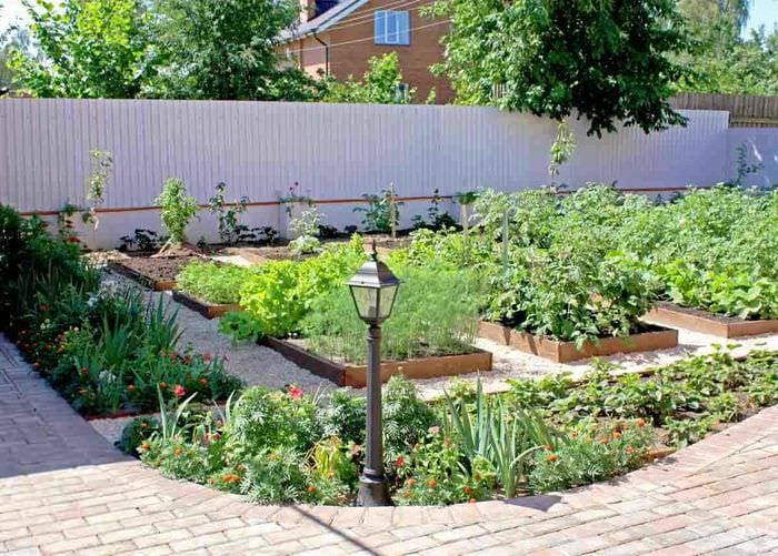 επιλογή ενός όμορφου σχεδιασμού ενός λαχανόκηπου σε μια ιδιωτική αυλή