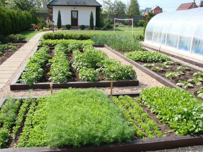 mulighed for en usædvanlig haveindretning i en privat gård