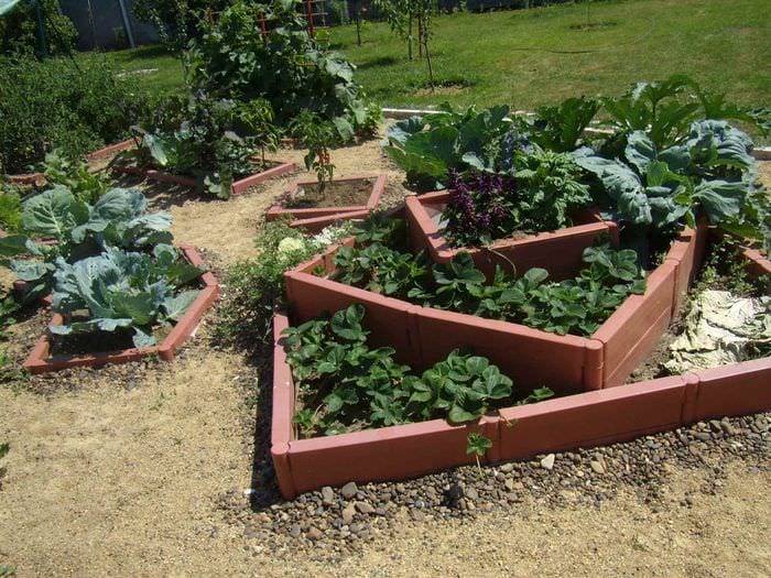 et eksempel på et smukt havedesign i en privat gård