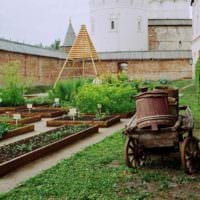 et eksempel på en lys haveindretning i et privat gårdsbillede
