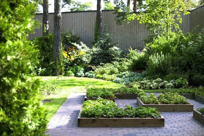 ένα παράδειγμα φωτεινής διακόσμησης κήπου σε μια ιδιωτική αυλή