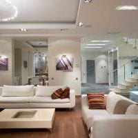 идеята за светъл декор в хола на снимка в модерен стил