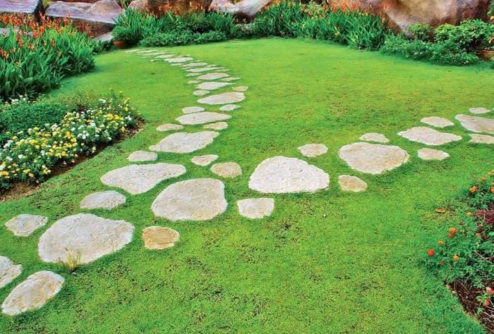 שביל הליכה מאבן טבעית בגינה פרטית