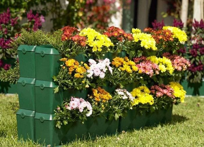 kleine ausgefallene Blumen im Landschaftsdesign eines Landhauses